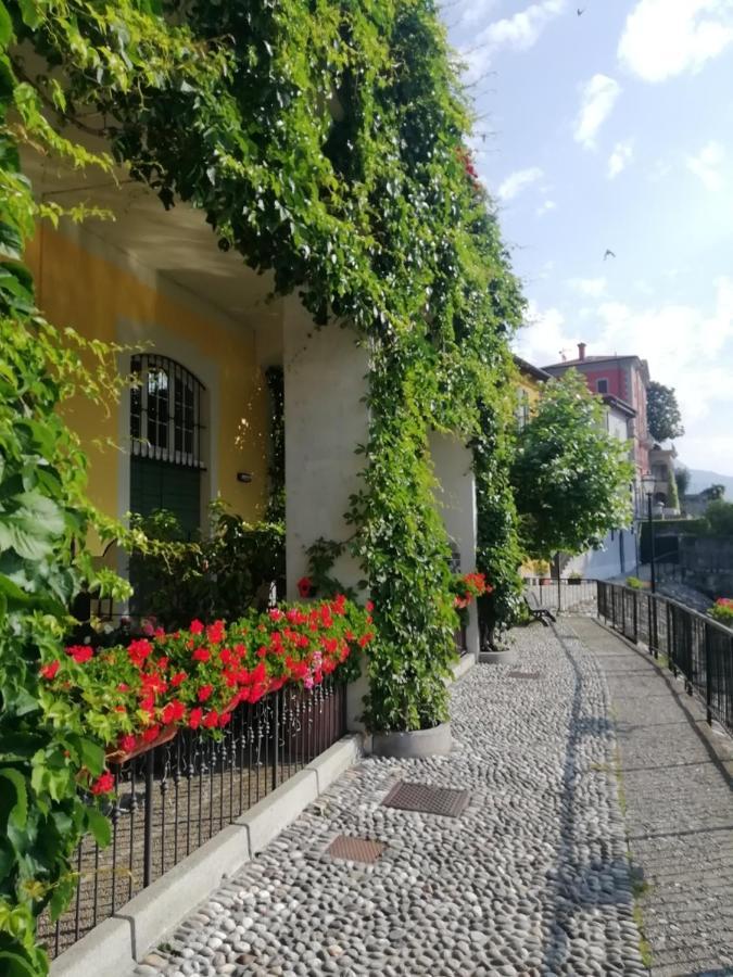 Viewtiful Homestay Stazzona Exteriér fotografie