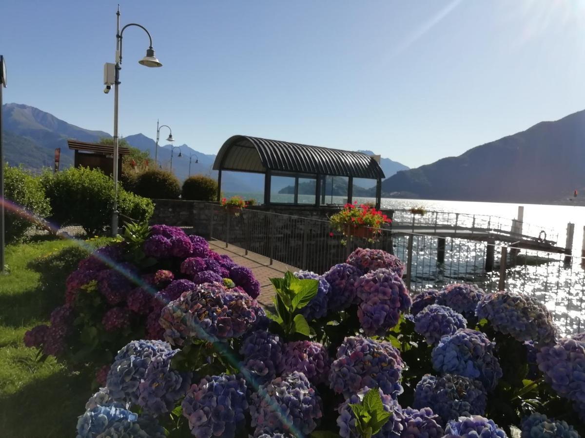 Viewtiful Homestay Stazzona Exteriér fotografie