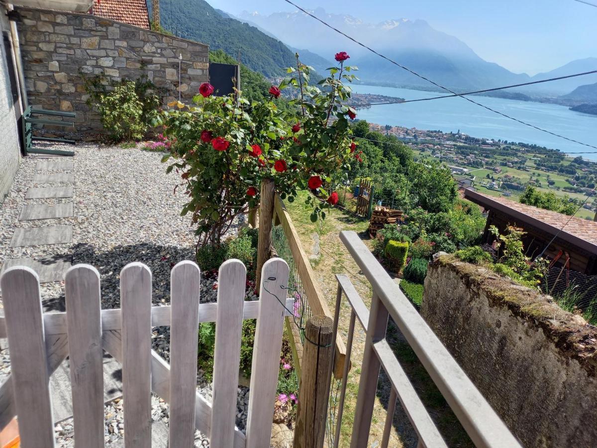 Viewtiful Homestay Stazzona Exteriér fotografie