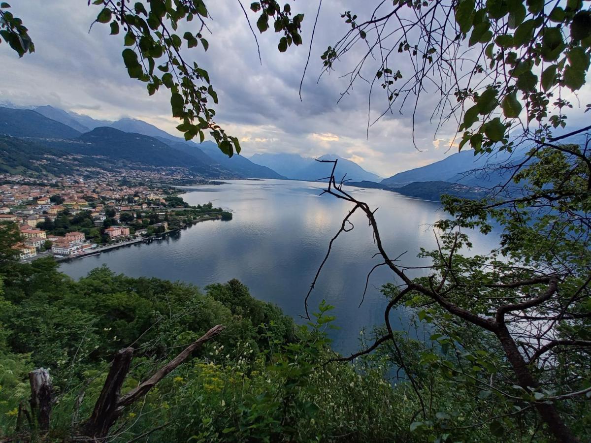 Viewtiful Homestay Stazzona Exteriér fotografie